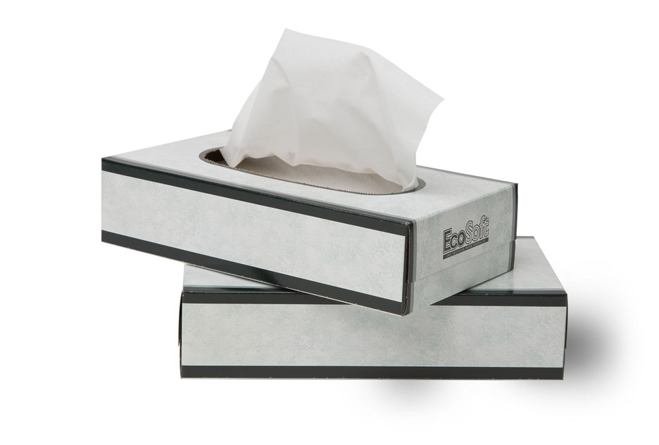 13000 FACIAL TISSUE 30/100/CS